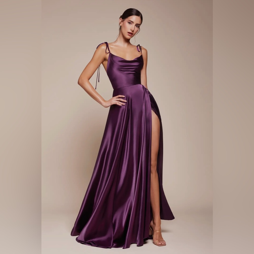 Plum size M Prom/ Formal Dress